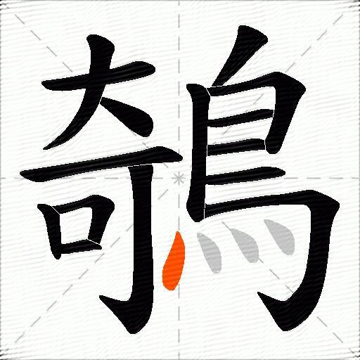 鵸