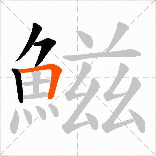 鰦