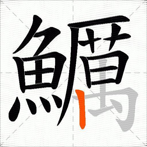 鱱