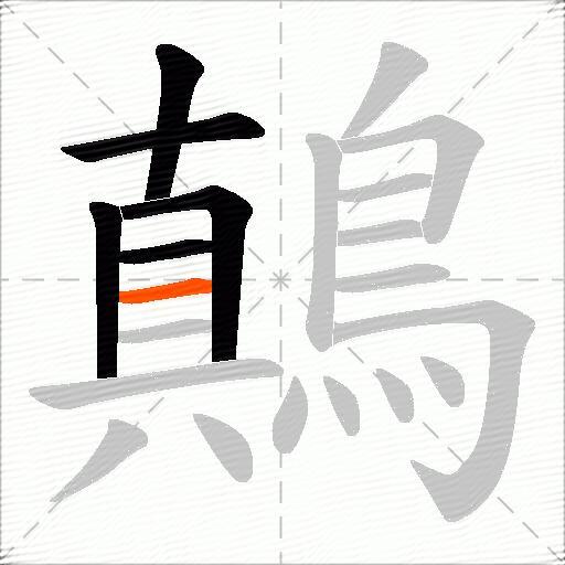 鷏