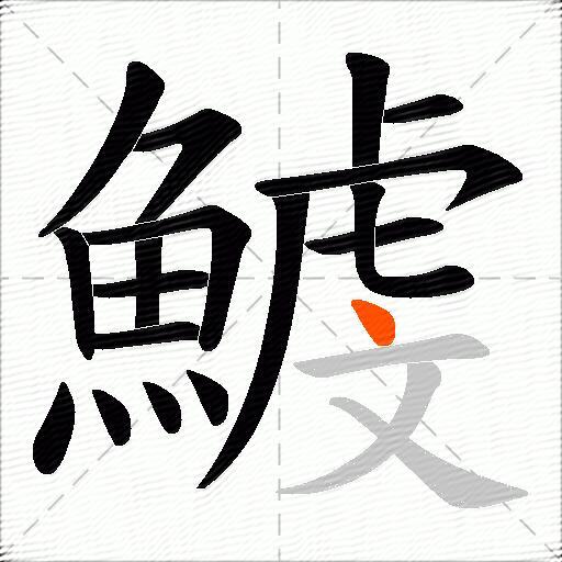 鰬