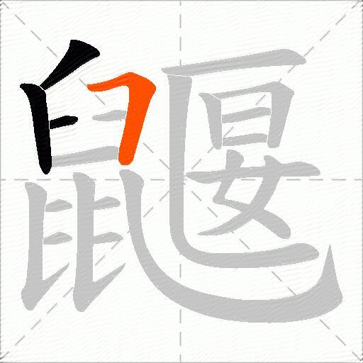 鼴