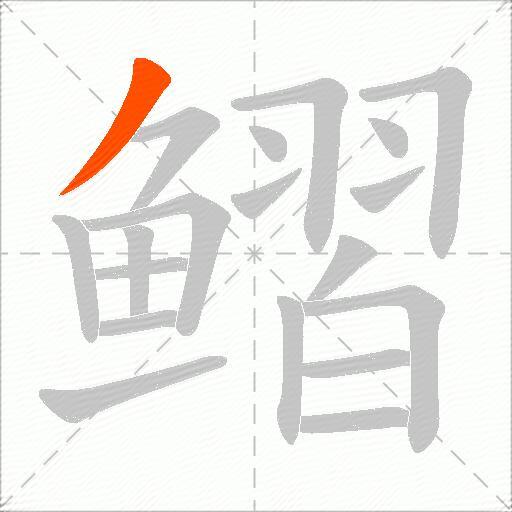 鳛