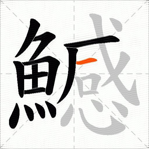 鱤