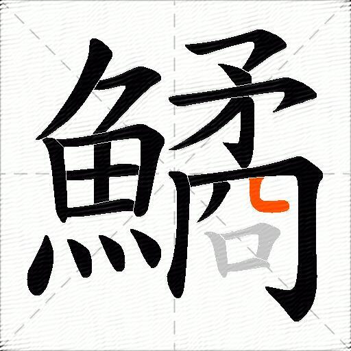 鱊