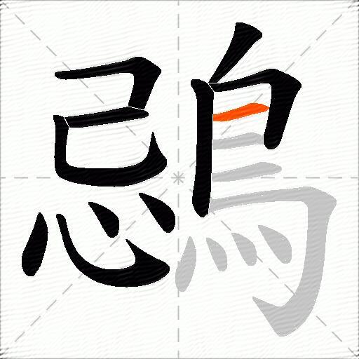 鵋