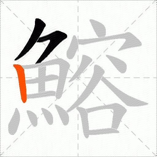 鰫