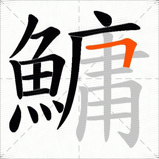 鱅