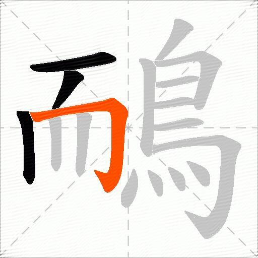 鴯