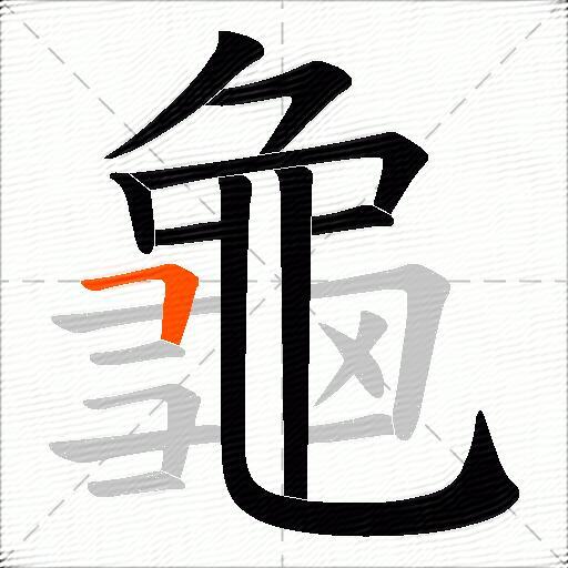 龜