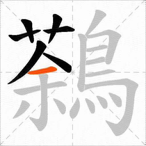 鷋