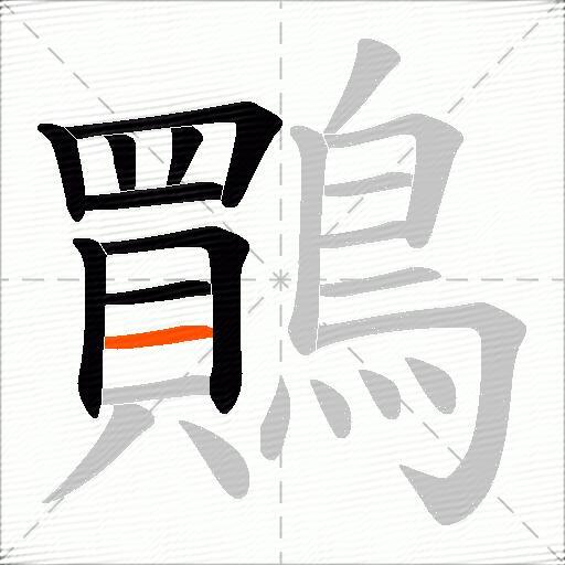 鷶