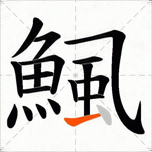 鯴