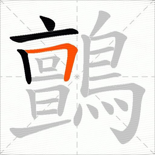 鸇