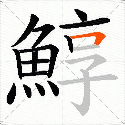 鯙
