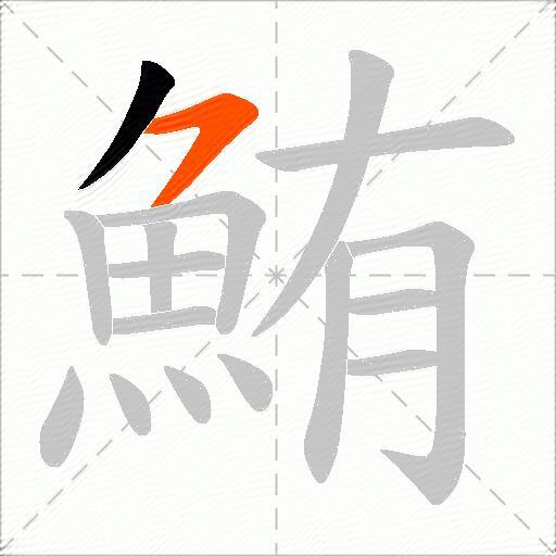 鮪