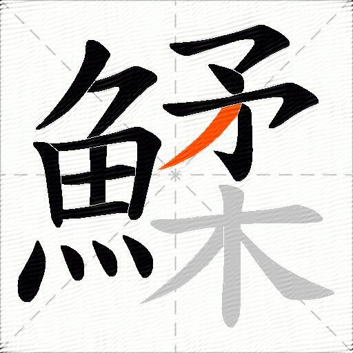 鰇