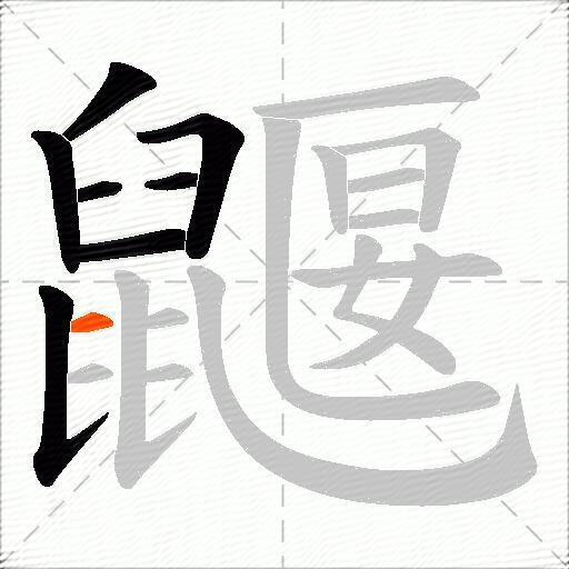鼴
