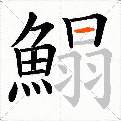 鰨