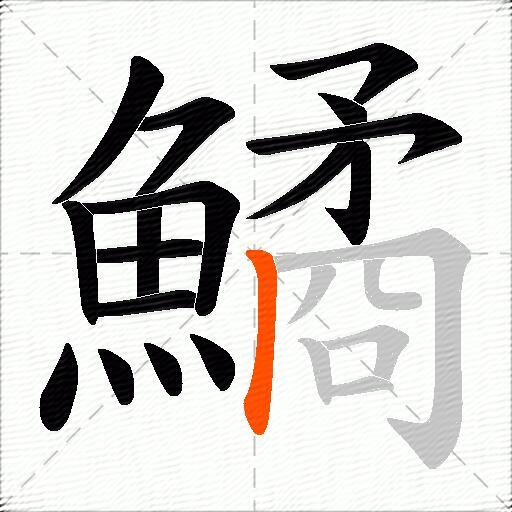 鱊