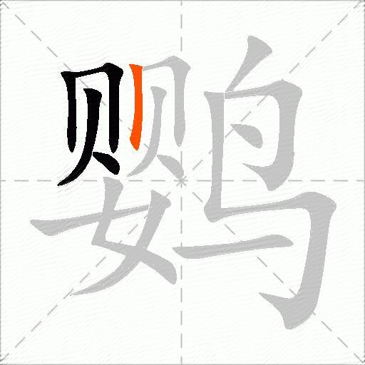 鹦