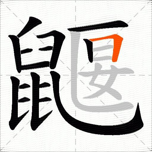 鼴
