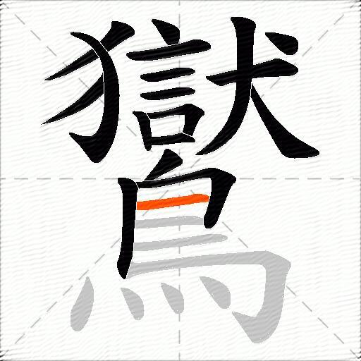 鸑