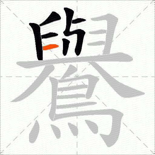 鸒