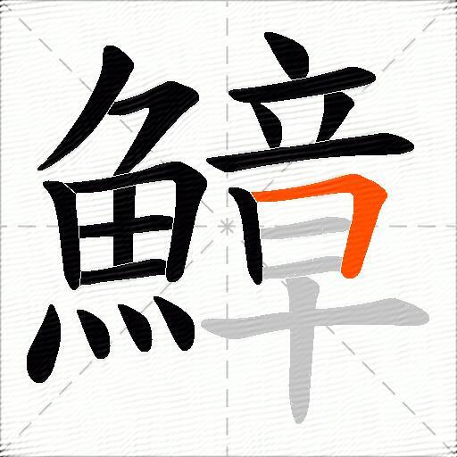 鱆