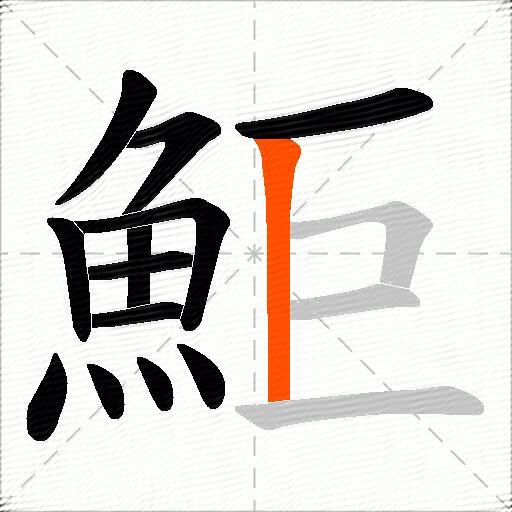 鮔