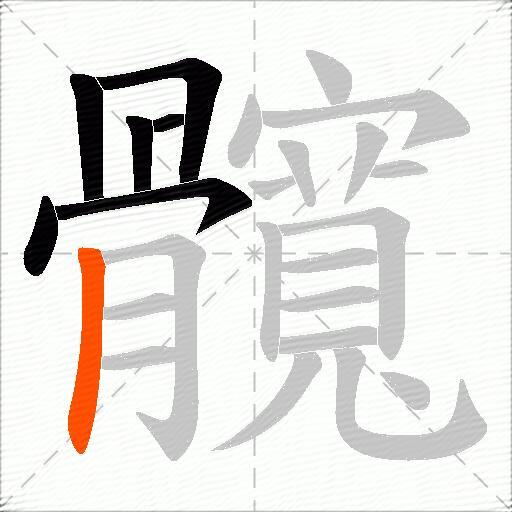 髖