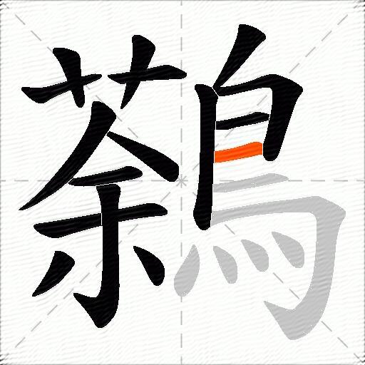 鷋