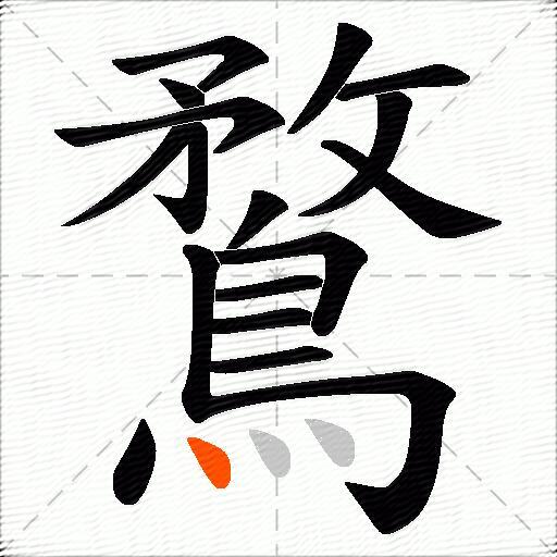 鶩