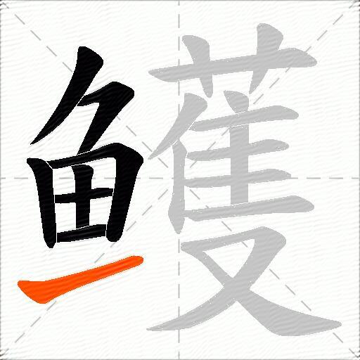 鳠