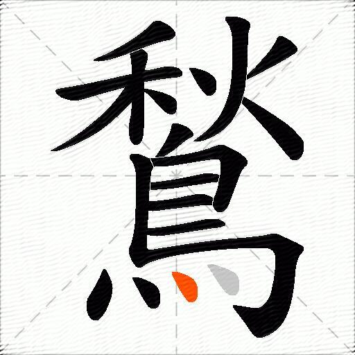 鶖