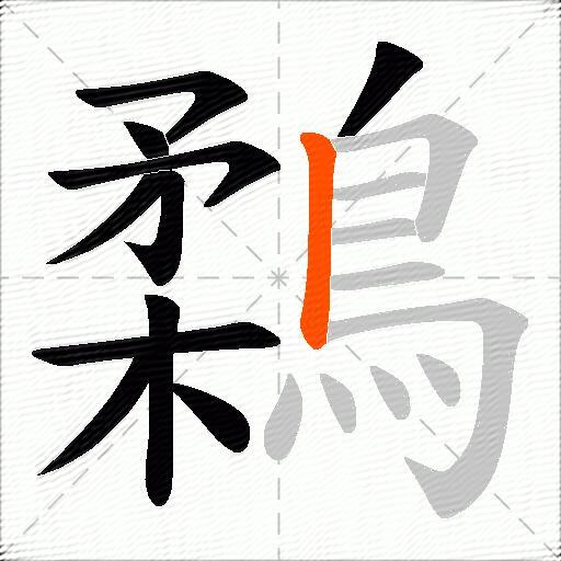 鶔