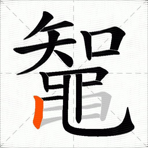 鼅