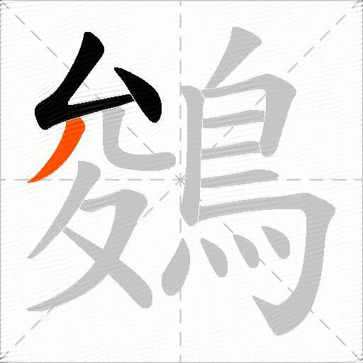 鵕