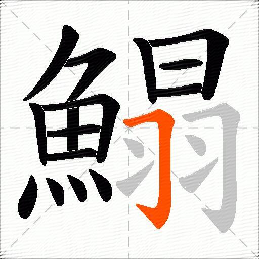 鰨