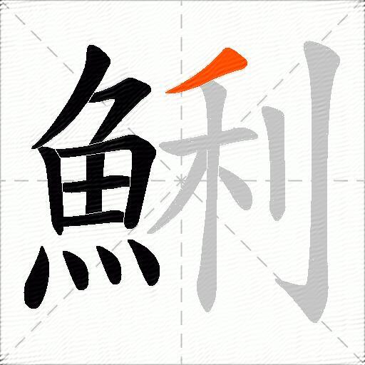 鯏