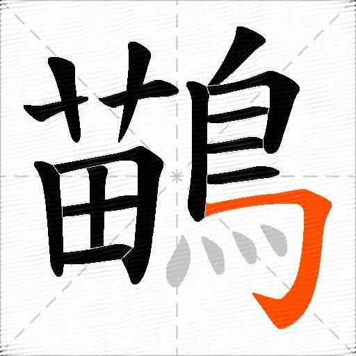 鶓