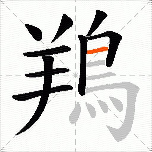 鴹