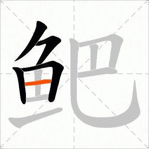 鲃