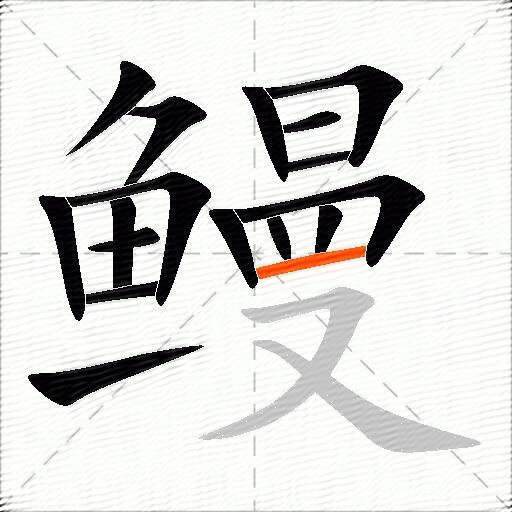 鳗