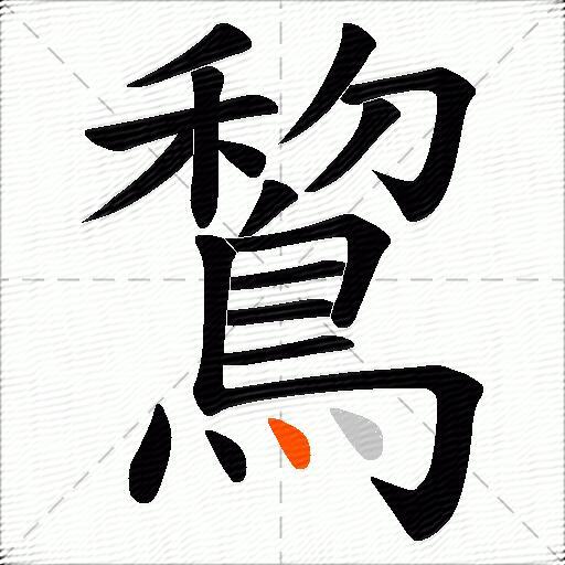 鵹