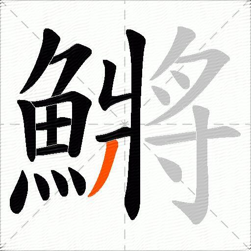 鱂