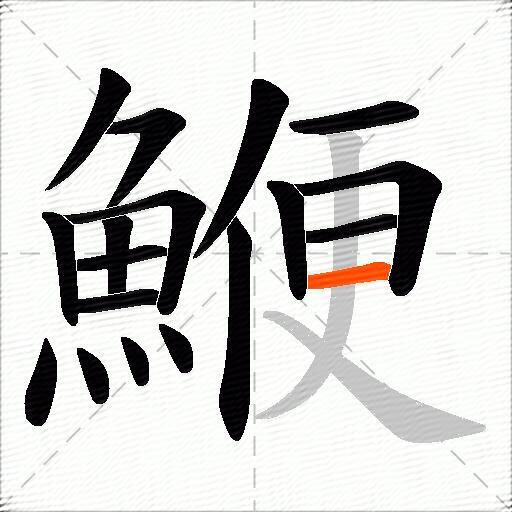 鯾