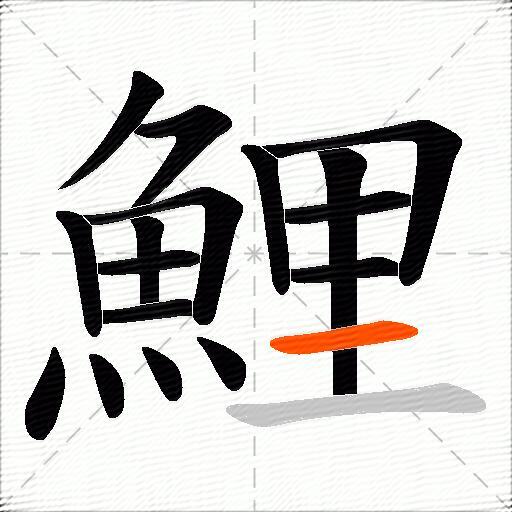 鯉