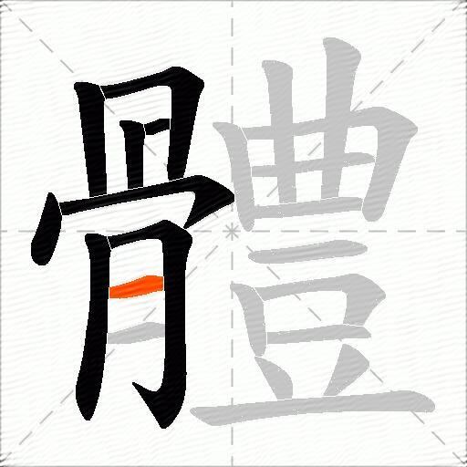 體