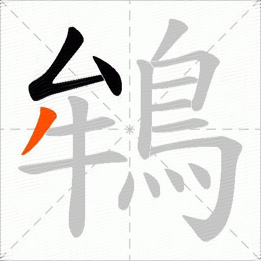 鴾